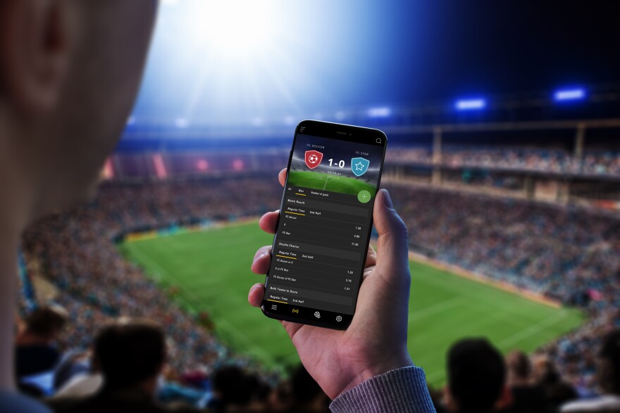 Everything You Need to Know About Online Betting Platforms 13 Everything You Need to Know About Online Betting Platforms 13