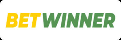 Experience the Thrill of Winning Explore the World of Casino Online